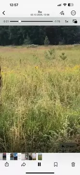 Участок в Московская область, Раменский муниципальный округ, Шевлягино ...