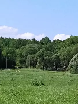 Участок в Рязанская область, Рыбновский район, Пощуповское с/пос, с. ...