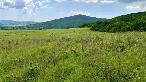 Участок в Севастополь Балаклавский р-н, Орлиновский муниципальный ...