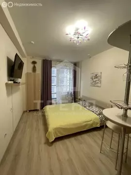 Квартира-студия: Санкт-Петербург, Пулковское шоссе, 14Е (24 м)