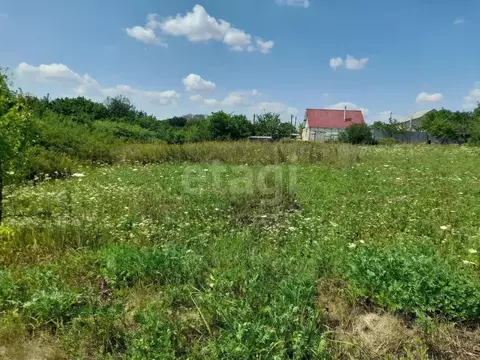 Участок в Белгородская область, Корочанский район, с. Погореловка ...