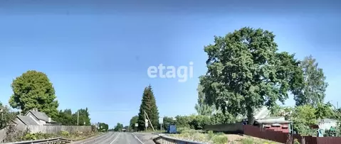 Участок в Ленинградская область, Лужский район, Заклинское с/пос, д. ...