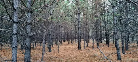 Участок в Самарская область, Красный Яр с/пос, пос. Кириллинский ул. ...