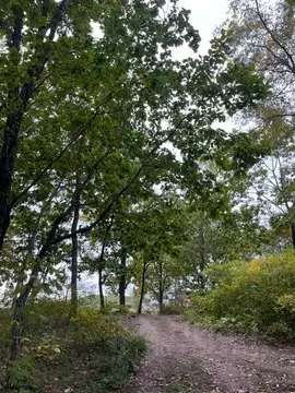 Участок в Приморский край, Находка Перевальная ул. (16.0 сот.)