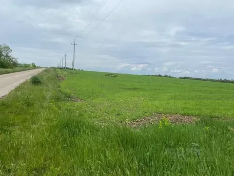 Участок в Белгородская область, Белгородский район, Беловское с/пос, ...