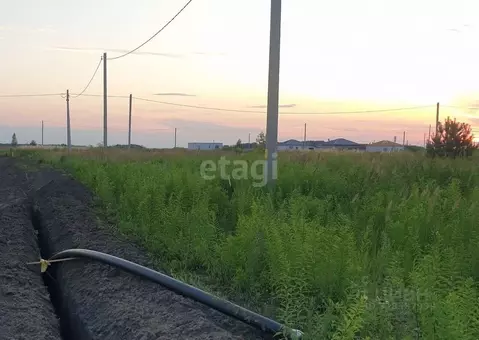 Участок в Курская область, Курский район, Моковский сельсовет, д. ...