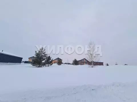 Участок в Новосибирская область, Мошковский район, пос. Октябрьский, ...