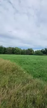 Участок в Владимирская область, Суздальский район, Павловское ...