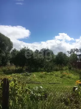 Участок в Калининградская область, Калининград Янтарь СНТ, ул. ...