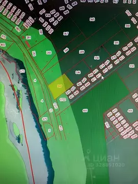 Участок в Алтай, Чемальский район, с. Чепош ул. Кучияк (50.0 сот.)