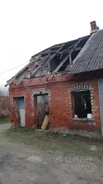 Свободной планировки кв. Калининградская область, Багратионовский ...