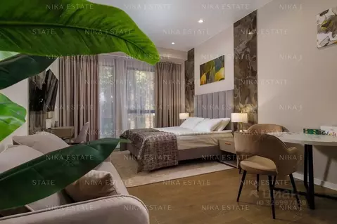 Студия Краснодарский край, Сочи ул. Кирова, 95 (31.2 м)