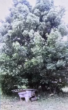 Дом в Калужская область, Калуга Московский округ,  (81 м)