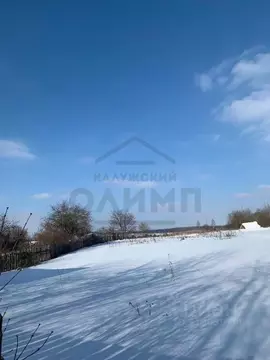 Участок в Калужская область, Дзержинский район, с. Дворцы ул. Луговая ...