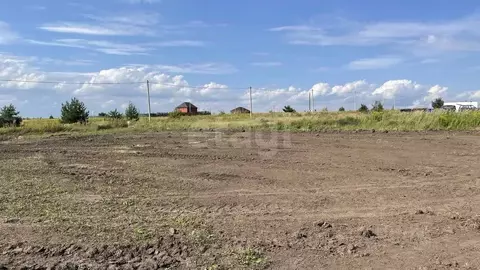 Участок в Курская область, Курский район, Полянский сельсовет, с. ...