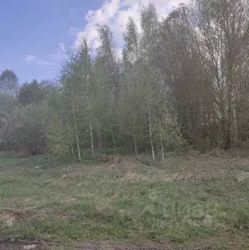 Участок в Московская область, Павлово-Посадский городской округ, с. ...