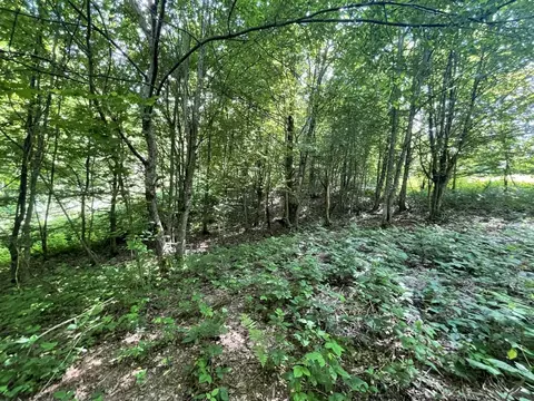 Участок в Краснодарский край, Сочи городской округ, с. Харциз Первый  ...