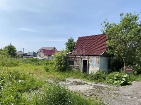 Участок в Калининградская область, Калининград Ромашка СНТ, ул. ...