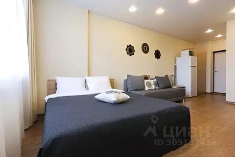 1-к кв. Нижегородская область, Нижний Новгород ул. Родионова, 202/1 ...