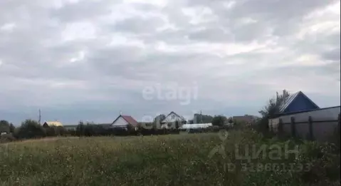 Участок в Башкортостан, Кушнаренковский район, Шариповский сельсовет, ...