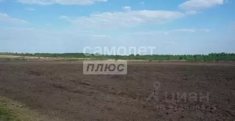 Участок в Тюменская область, Тюмень  (5.97 сот.)