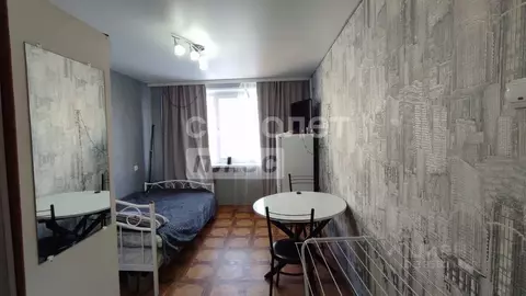 Студия Белгородская область, Старый Оскол Молодогвардеец мкр, 2 (17.0 ...