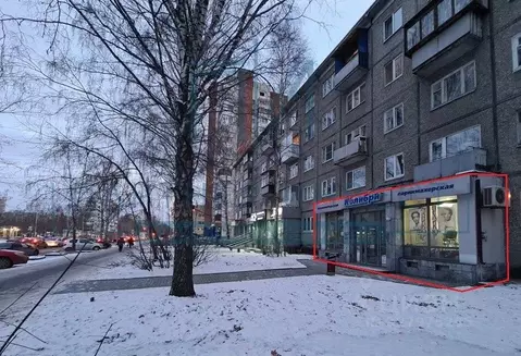 Торговая площадь в Свердловская область, Екатеринбург ул. Шаумяна, ...