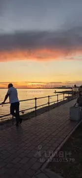 Студия Крым, Саки ул. Курортная, 71 (42.0 м)