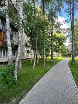2-комнатная квартира: Санкт-Петербург, проспект Науки, 69 (45 м)