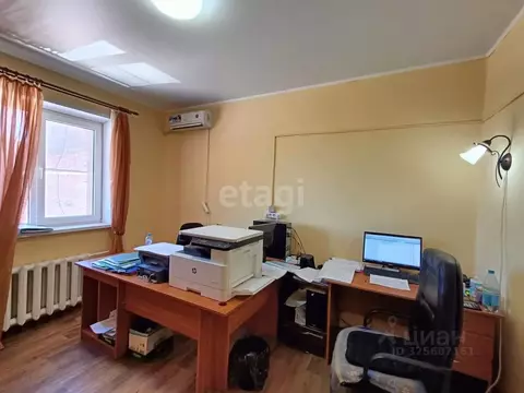 Помещение свободного назначения в Краснодарский край, Ейск Баррикадная ...