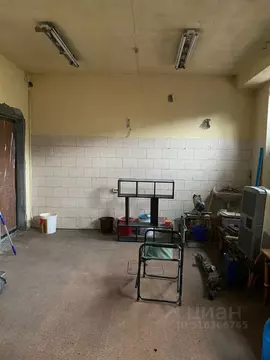 Офис в Приморский край, Уссурийск ул. Андрея Кушнира, 1А (26 м)