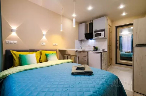 Студия Москва ул. Ватутина, 4К2 (17.0 м)