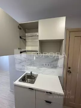 Студия Алтайский край, Барнаул ул. Фомина, 70 (17.0 м)