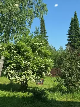 Участок в Томская область, Томск пос. Родионово, ул. 1000-летия Руси ...