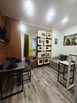 Студия Москва ул. Кржижановского, 18К3 (20.0 м)