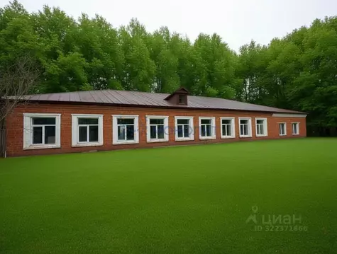 Помещение свободного назначения в Нижегородская область, Богородский ...