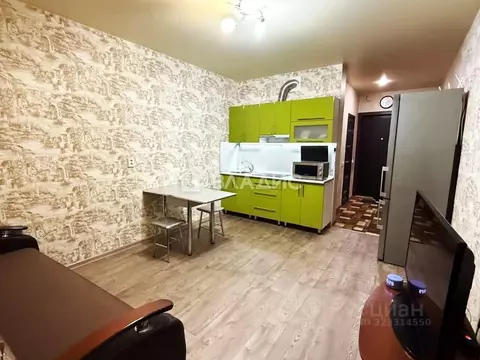 Студия Пензенская область, Пензенский район, Засечный сельсовет, с. ...