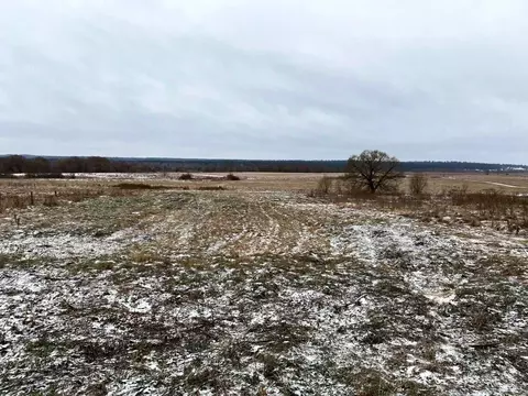 Участок в Калужская область, Козельский муниципальный округ, Нижние ...