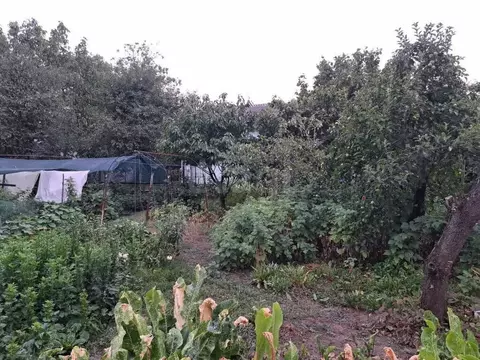 Участок в Майкоп, улица Свободы (6.2 м)