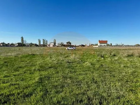 Участок в Крым, Сакский район, с. Фрунзе ул. Дорохина (10.0 сот.)