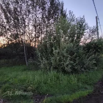 Продается участок в СНТ Поляна