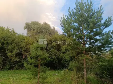 Участок в Алтайский край, Первомайский район, с. Фирсово Почтовый ...