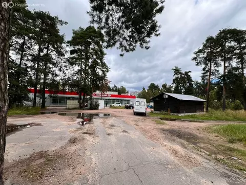 Торговая площадь (541.3 м)