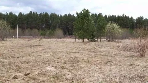 Участок в Вологодская область, Бабушкинский муниципальный округ, д. ...