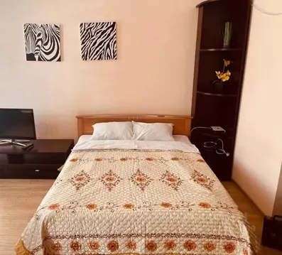 1-к кв. Иркутская область, Иркутск Дальневосточная ул., 120 (30.0 м)