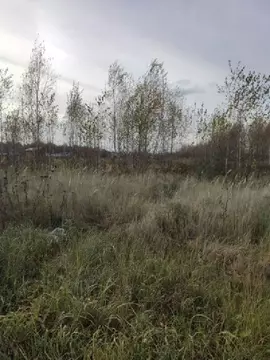 Продается участок в д. Зверково