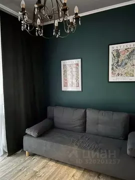 1-к кв. Псковская область, Псков Завеличенская наб., 24 (38.0 м)