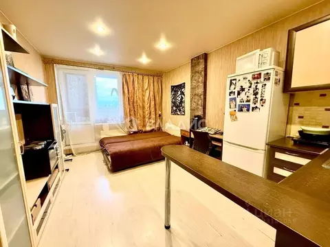 Студия Санкт-Петербург просп. Маршала Жукова, 41 (27.0 м)