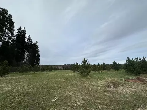 Участок в Московская область, Солнечногорск ул. Кедровая (167.0 сот.)
