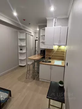 Студия Москва просп. Вернадского, 41С1 (16.4 м)